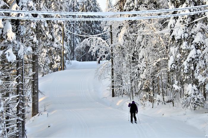 Hiihtäjä lumisissa maisemissa Jyväskylässä.