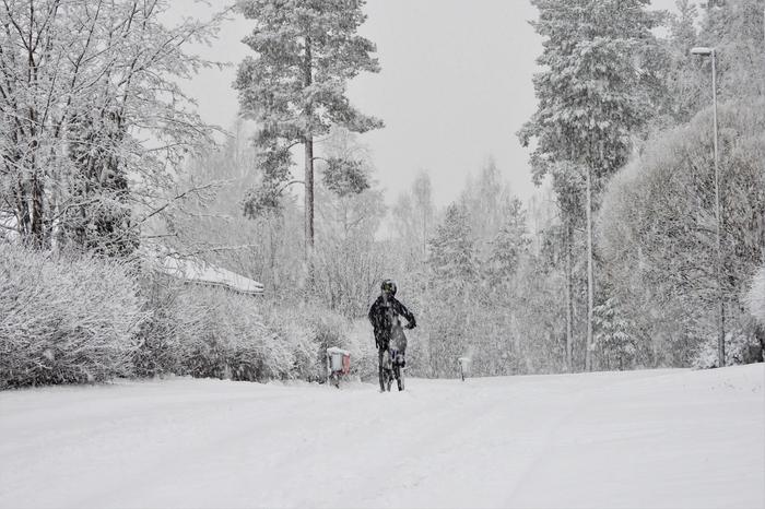 Lumisateita Jyväskylässä.