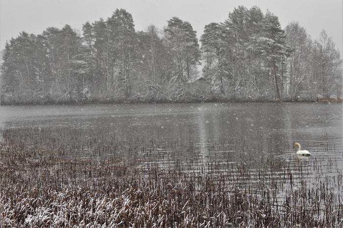 Takatalvi koetteli toukokuussa.