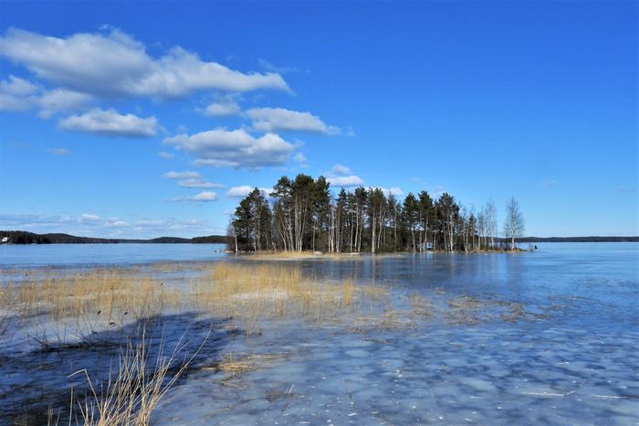 Aurinkoinen maaliskuun päivä Jyväskylässä.