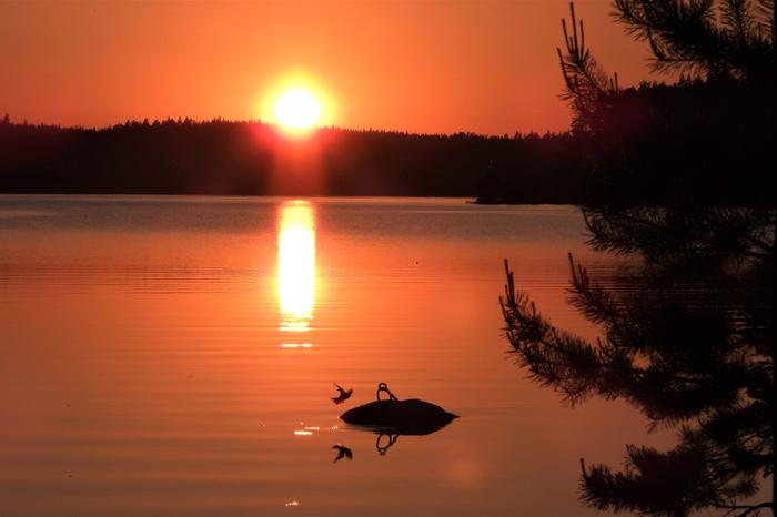 Tyyni ilta ja auringonlasku.