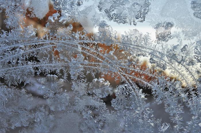 Kuurankukkia pakkasella.