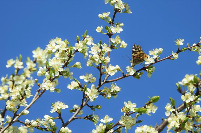 Aurinkoinen toukokuun päivä 2019.