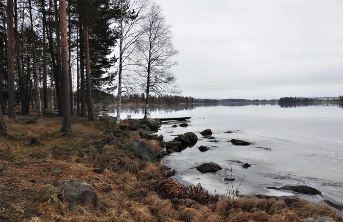 Jyväskylässä oli ajoittain lumetonta tammikuussa 2020.