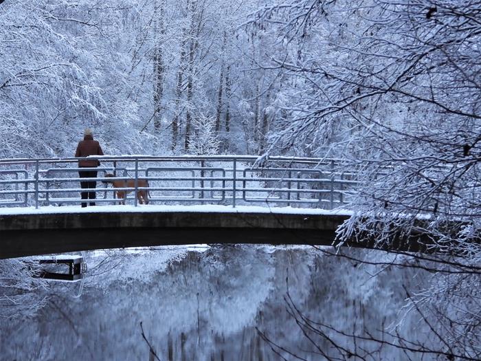 Lunta Jyväskylässä tammikuun alussa.