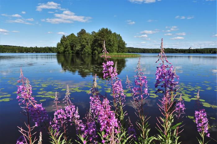 Kesäpäivä Palokkajärvellä.