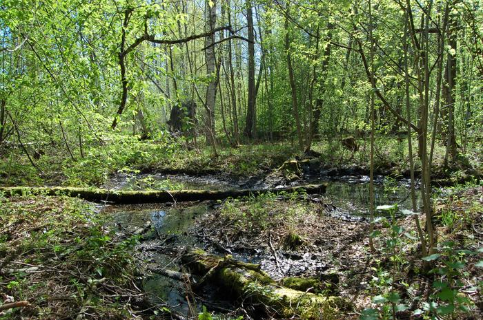 Helsingin Roihuvuori