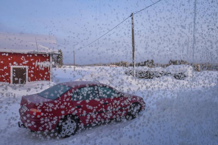 Kuurankukkia Pakkasaamun kuurankukkia.