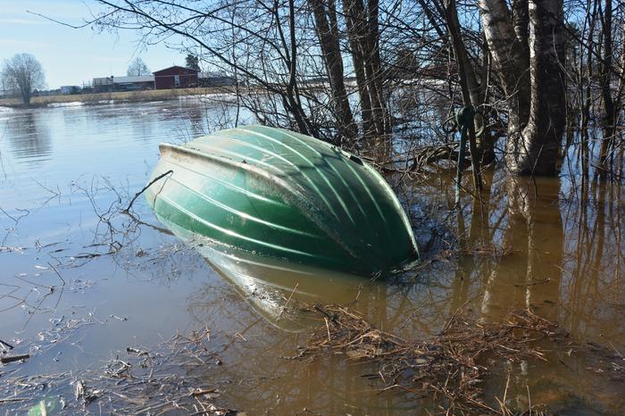 Kevättulva Tulvavesi nousi Kyrönjoessa.
