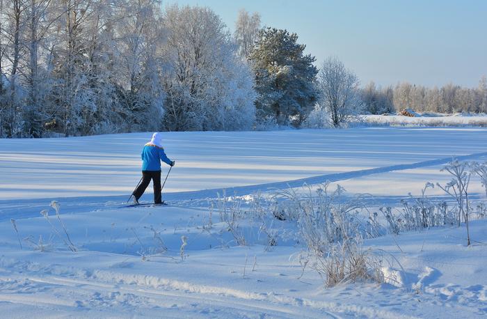 Hiihtoa Hiihtäjä helmikuisessa pakkassäässä Isossakyrössä.