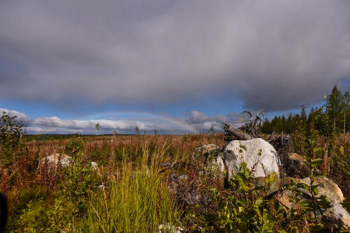 Sateenkaari ja syksyn sävyjä Sateenkaari ja syksyn sävyjä.