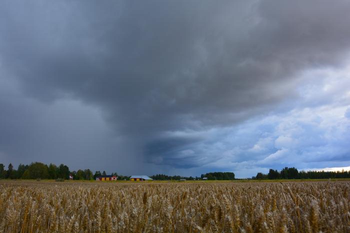 Synkkä taivas Synkkä taivas Isossakyrössä elokuussa 2021.