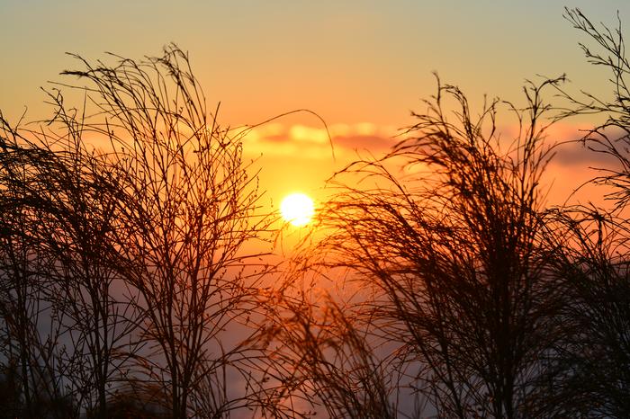 Aurinko laskee kesällä Kesäinen auringonlasku.