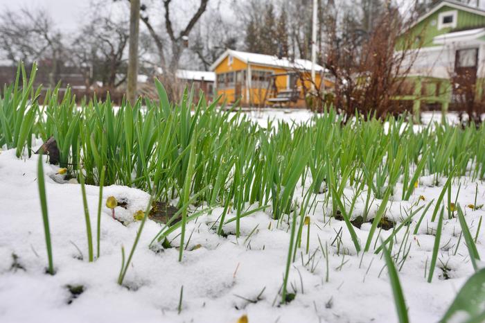 Takatalvi toi lumipeitteen 