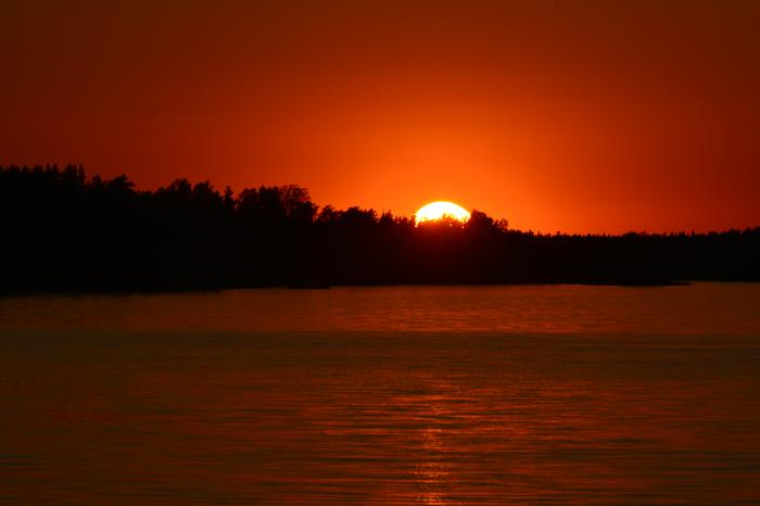 Trooppinen yö -kuvitus Lämmin kesäyö.