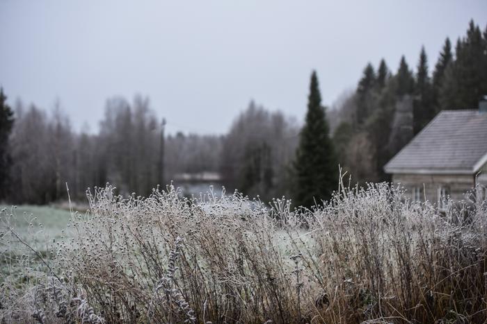 Kuurainen marraskuun aamu.