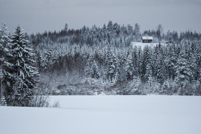 Maisema oli pilvinen ja luminen Nurmeksessa Pohjois-Karjalassa helmikuun alussa 2023.