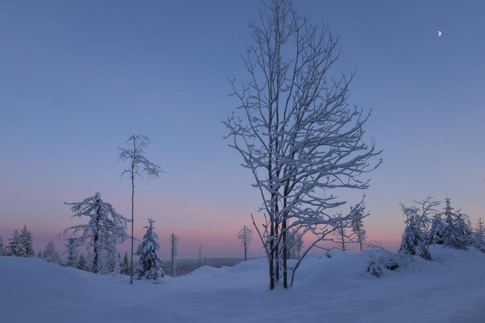 Kireän pakkasen punerrus Riihivaaran maisemaa -34 asteen lämpötilassa.