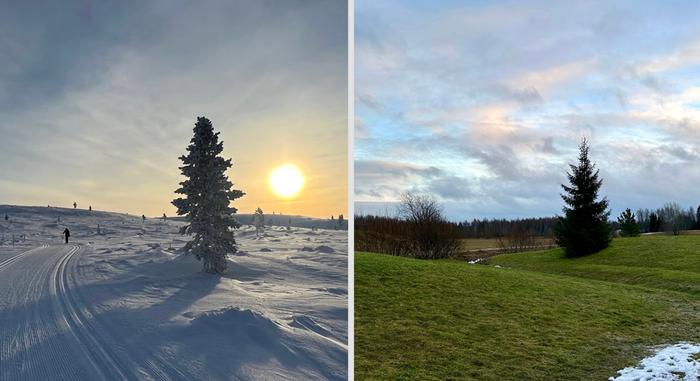 Suomen talveen mahtuu niin kireitä pakkasia kuin joskus myös lumettomia sydäntalven hetkiä.
