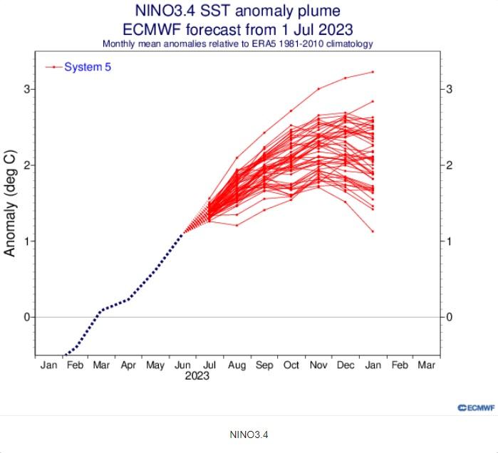 El Niño -vaihe katsotaan alkaneeksi, kun merivesi on yli asteen tavanomaista lämpimämpää Tyynen valtameren keskisissä ja itäisissä osissa. Ennusteiden mukaan El Niño tulee vielä loppuvuonna voimistumaan.