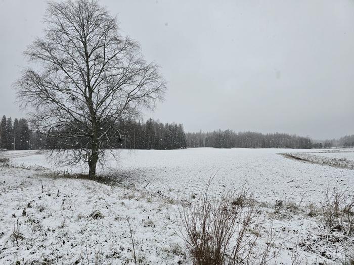 Ensilumi Mäntsälässä 2024 Ensilumi Mäntsälässä.