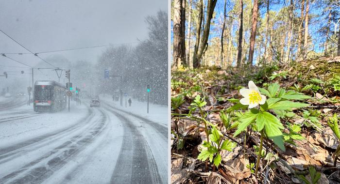 Takatalvea ja kevätlämpöä.