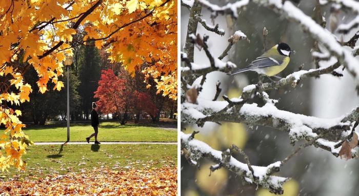 Lokakuussa nähtiin sekä lämpimiä että kylmiä jaksoja.