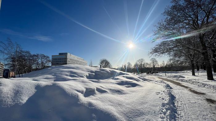 Auringonpaistetta ja tuoretta lunta Helsingissä.