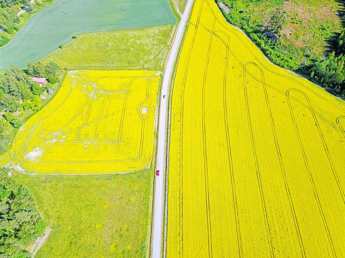 Toukokuun värejä Raaseporissa.