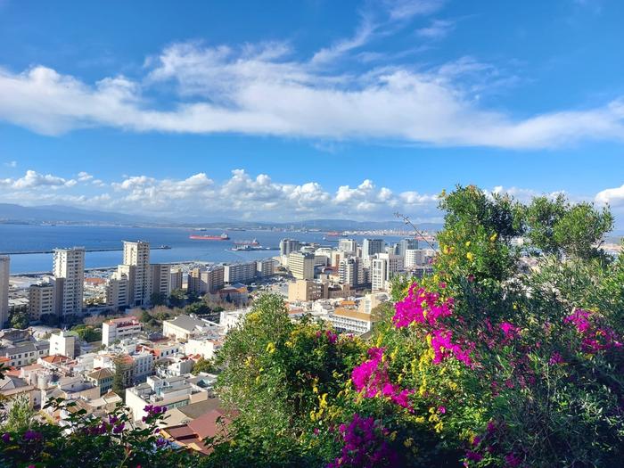 Tammikuista kukkaloistoa Gibraltarilla.