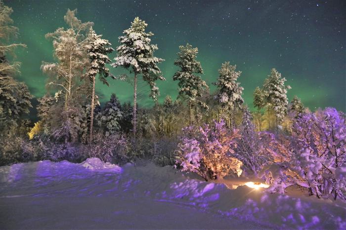 Revontulet itsenäisyyspäivän yössä.