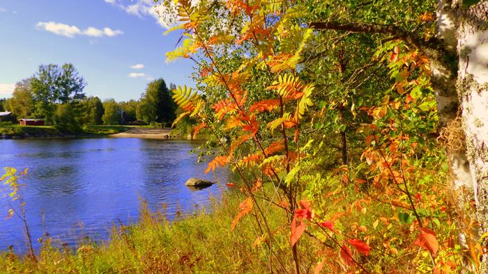 Ruskaa voi nähdä jo paikoin maan keskiosassa asti.