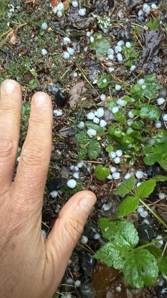 Rakeet syntyvät, kun pilvessä olevien niin sanottujen raealkioiden ympärille alkaa tiivistyä vesihöyryä tai alijäähtynyttä vettä.