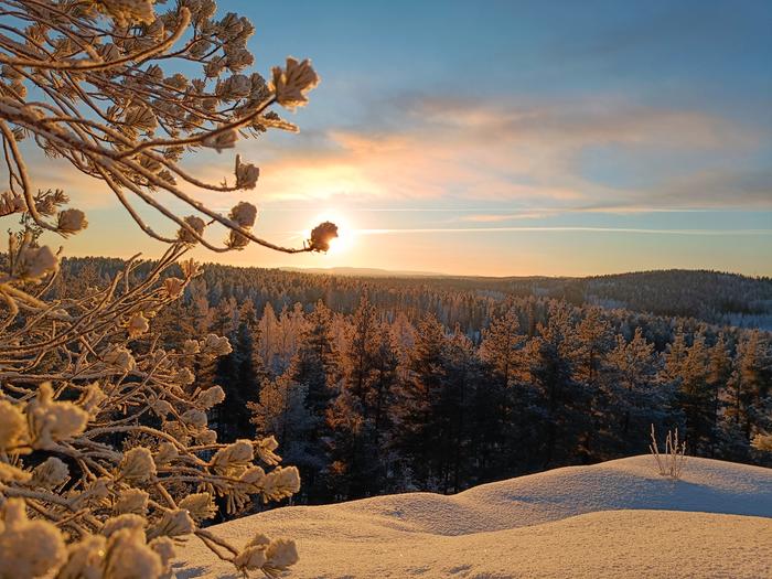 Kaunis talvipäivivä Suolahden Riihivuorella.