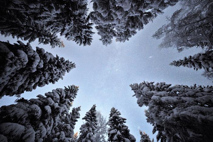 Andromeda-galaksi näkyi kirkkaassa yössä.