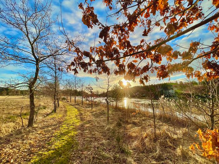 Auringonsäteet lankeavat Kaarinassa