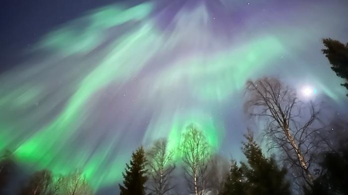 Revontulia Rovaniemellä.