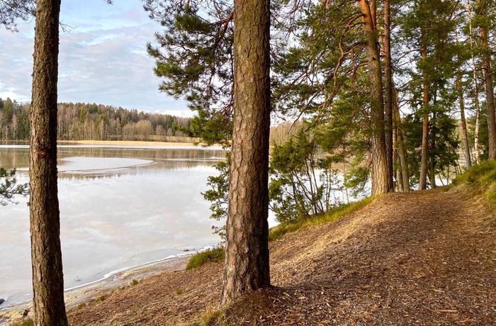 Tuusulanjärven rantamaisemia tammikuussa 2020.
