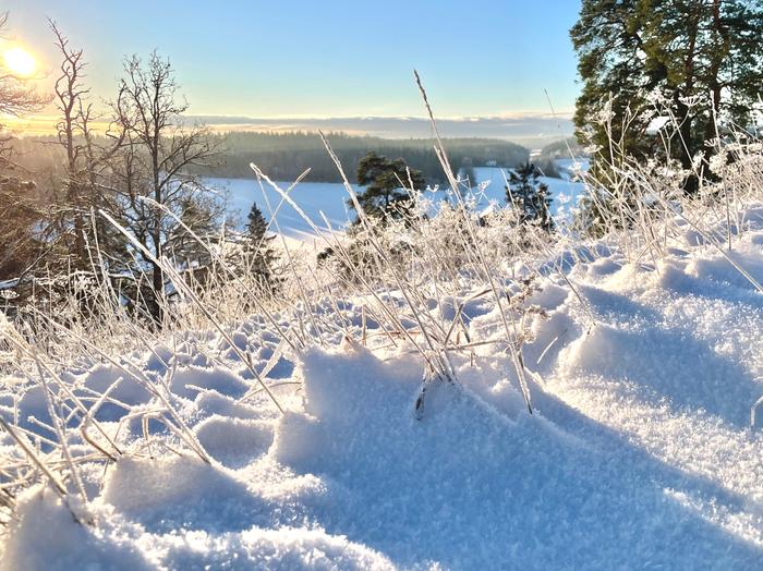 Aurinkoa ja lunta Joulukuun aurinkoa ja lunta Liedossa.