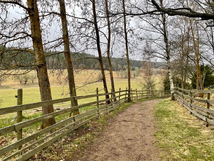 Huhtikuinen aamu Kuralan Kylämäen maisemissa Turussa.