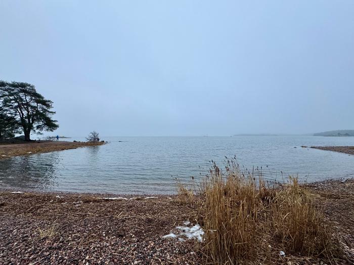 Lauhaa tammikuun säätä Lounaisrannikolla oli ajoittain lumetonta ja jäätöntä tammikuussa 2025.