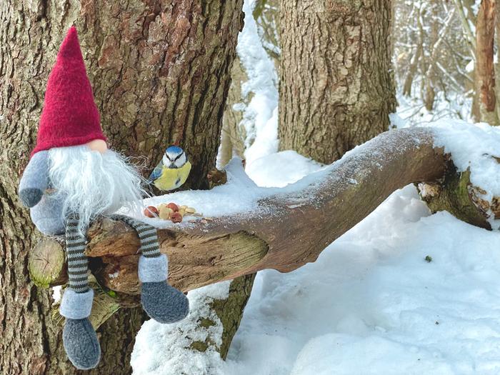 Tonttu ja lintu talvitunnelmissa.