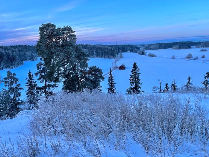 Kaunis maaliskuinen talviaamu Liedossa.