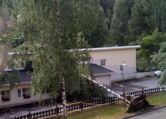 Puu kaatui Saarikellon päiväkodin päälle Kuopiossa Päivö-myräkässä 30. kesäkuuta 2020.