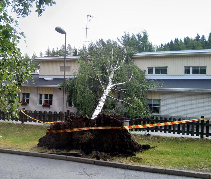 Päivö-myräkkä kaatoi puun Saarikellon päiväkodin päälle Kuopiossa 30. kesäkuuta 2020.