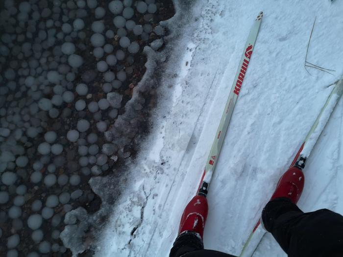 Jääpalloja Tahvonlahdella Helsingin Laajasalossa.