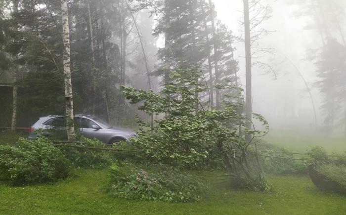 Voimakkaat ukkospuuskat taivuttivat ja kaatoivat puita.
