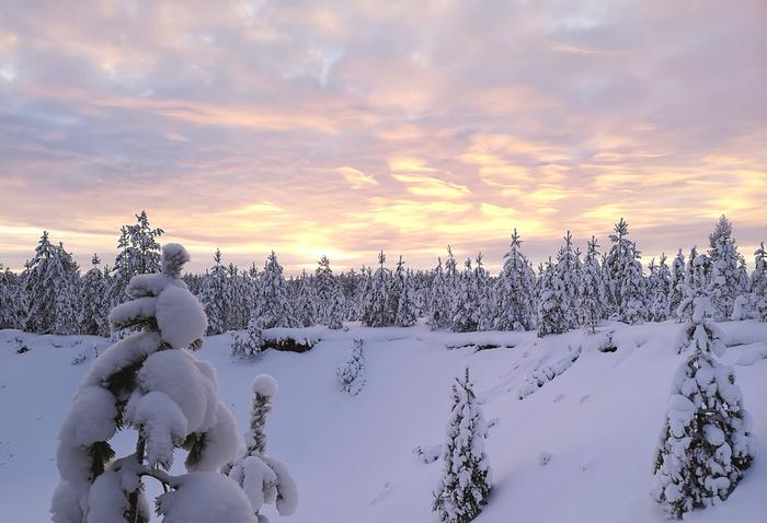 Pilvisempi, mutta valoisa pakkaspäivä.