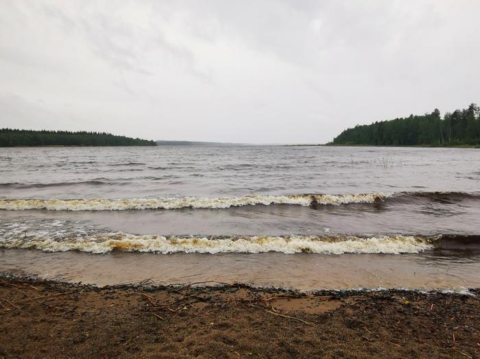 Kolean näköistä kesämaisemaa.