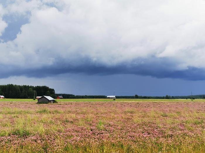 Sadekuuro peltojen yllä Sadekuuro peltojen yllä.